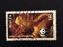 [WWF - Seahorse, type AKL]