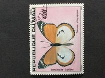 [Butterflies, type AAT]