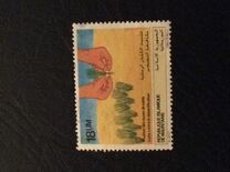 [Campaign against Drought, Scrivi ZK]