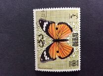 [Butteflies, jenis GM]