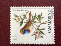 [Birds, tegund ZA]