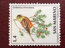 [Birds, tegund ZA]