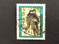 [Nile Crocodile, Вид MB11]