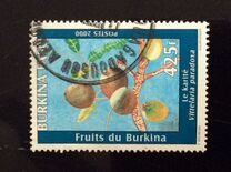 [Fruits, Typ ACH]