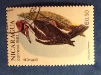[Birds, type BCW]