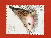 [Birds - Turtle Dove, tip HD]