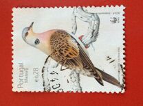 [Birds - Turtle Dove, tip HC]