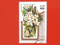 [Fruits and Flowers, Tipe CH]