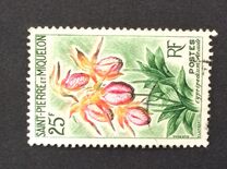 [Flowers, වර්ගය CT]
