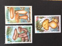 [Mushrooms, type BOA]