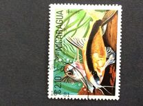 [Tropical Fish, Tip BCQ]