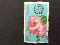 [Airmail - The 50th Anniversary of Junior Chamber of Commerce - Flowers, Tipi RT]