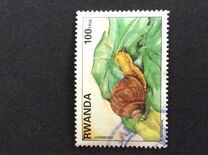 [Native Animals, type AXA]