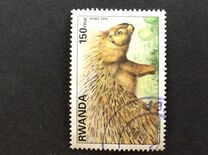[Native Animals, type AXB]