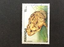 [Native Animals, type AWZ]