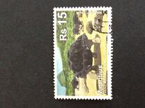 [Extinct Giant Tortise, type AGW]