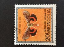 [Butterflies, Tüüp ACZ]