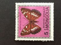 [Butterflies, Tüüp ACW]