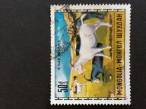 [Livestock Breeding, type WT]