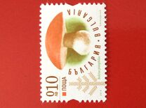 [The Mushrooms, type GVX]