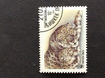 [The Snow Leopard, type X]