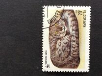 [The Snow Leopard, type Y]