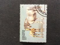 [Horses, type CO]
