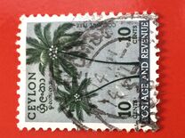 [Local Motifs, type CM]