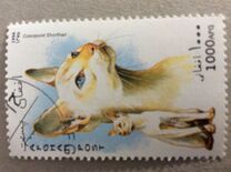 [Cats, type ANB]