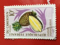 [Fruits, type HH]
