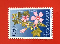 [Flowers, タイプ BER]