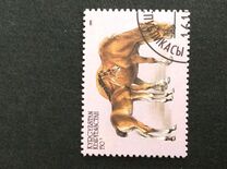 [Horses, type CN]