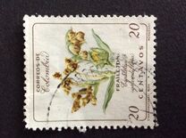 [Flowers, प्रकार ZT]