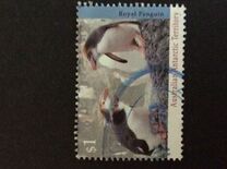 [Antarctic Wildlife, 유형 CQ]