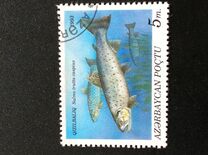 [Fish, tipas AT]