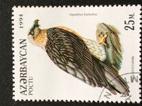 [Birds of Prey, タイプ DA]