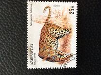 [Wild Cats, tip DG]