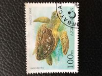 [Tortoises and Turtles, Scrivi FB]