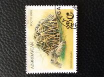[Tortoises and Turtles, type FD]
