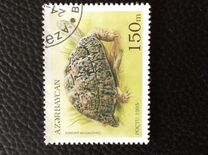 [Tortoises and Turtles, type FC]
