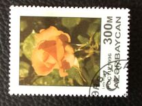 [Roses, type IX]