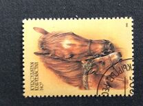 [Horses, type CM]