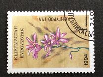 [Flowers, type AE]