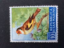 [Birds, tegund LL]