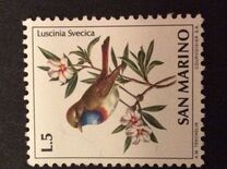 [Birds, tegund ZB]