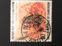 [Cameroun Frogs, τύπος UB]