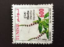 [Medicinal Plants, tip ASJ]