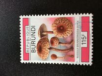 [Fungi, type BCX]
