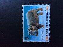 [Animals, type BAT]