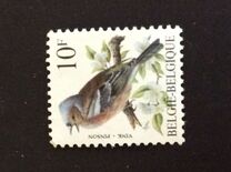 [Birds, type BNI]